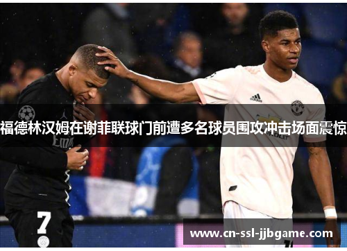 福德林汉姆在谢菲联球门前遭多名球员围攻冲击场面震惊